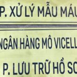 dịch vụ làm bảng inox in uv